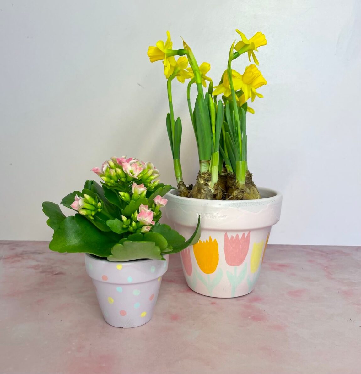 Tulpen und Punkte BLumentopf